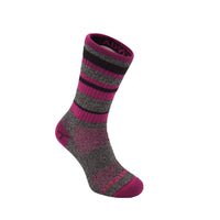 Black Fuchsia