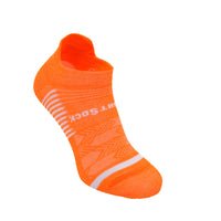 Salamander Orange